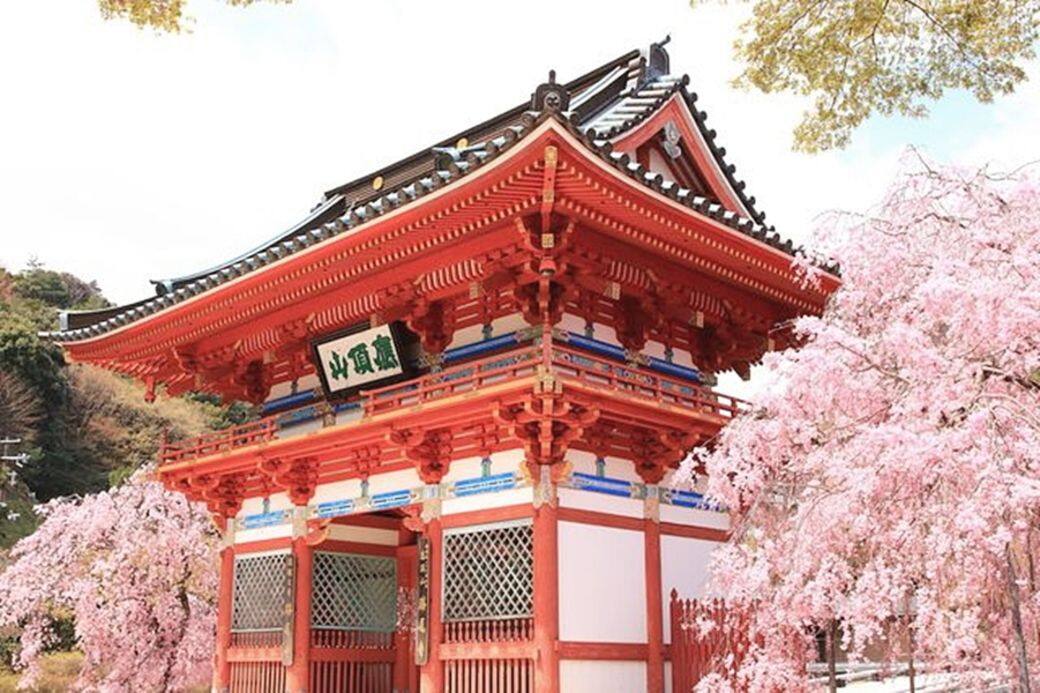 勝尾寺位於箕面市,雖不在市中心 勝尾寺位於箕面市,雖不在市中心