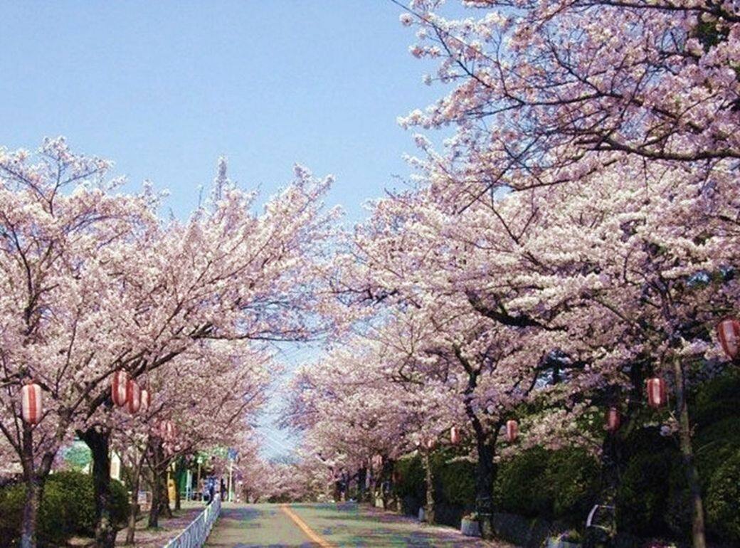 位於池田市的五月山公園 位於池田市的五月山公園