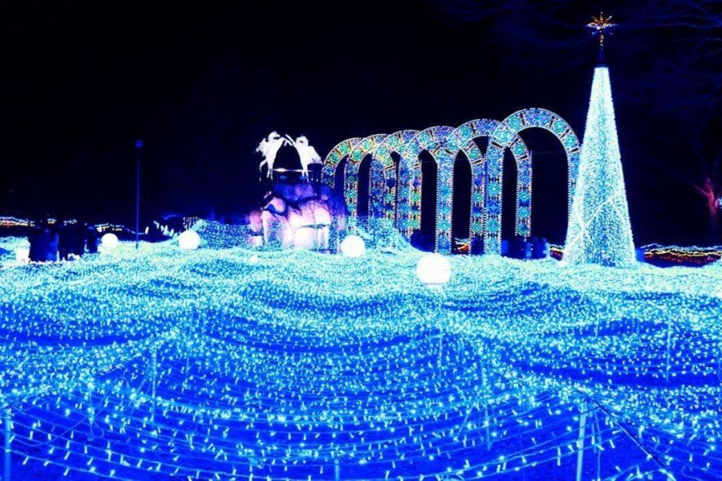 京都燈雪節(京都ILLUMIERE)是關西最大型燈飾活動 京都燈雪節(京都ILLUMIERE)是關西最大型燈飾活動