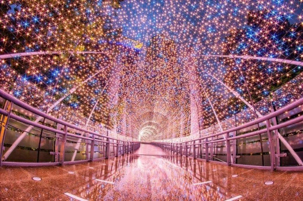 每日下午5時半到晚上10是,場地都會運用投影技術 每日下午5時半到晚上10是,場地都會運用投影技術