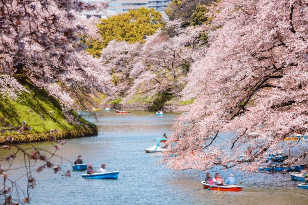 千鳥淵綠道是沿著皇居護城河所建的步道 千鳥淵綠道是沿著皇居護城河所建的步道