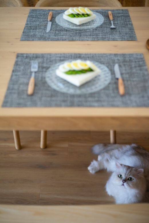 日系 家居 home decoration interior design 日系 家居 home decoration interior design