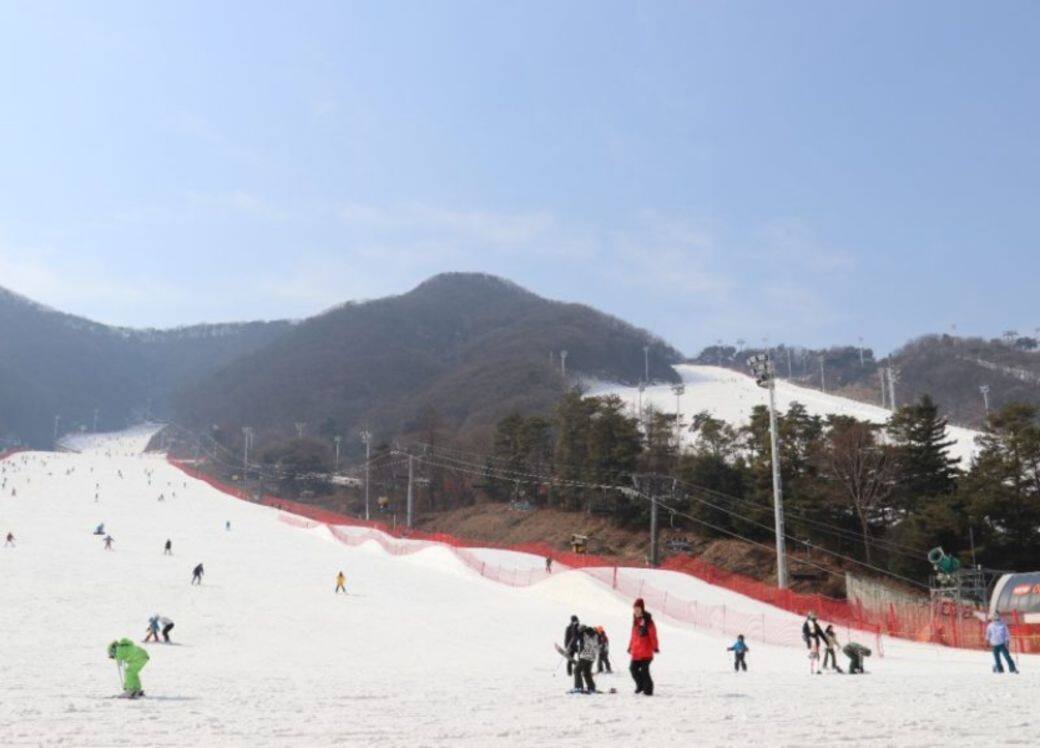 滑雪場置身在秀麗的山脈及茂密的叢林中 滑雪場置身在秀麗的山脈及茂密的叢林中