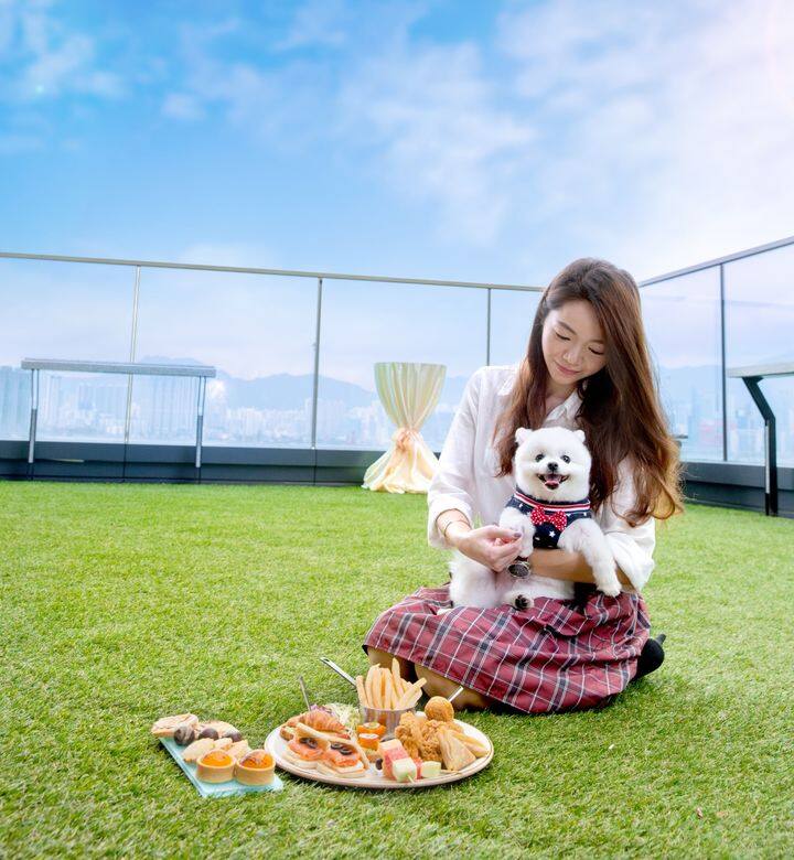 還未想到今個周末帶你的愛犬到裡散步遊玩?不少狗主人都反映,市區很 還未想到今個周末帶你的愛犬到裡散步遊玩?不少狗主人都反映,市區很