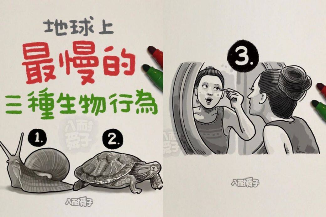 八耐舜子的作品相對上更富故事性 八耐舜子的作品相對上更富故事性