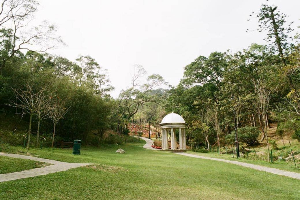 香港 野餐 地點 hong kong picnic 山頂公園 香港 野餐 地點 hong kong picnic 山頂公園