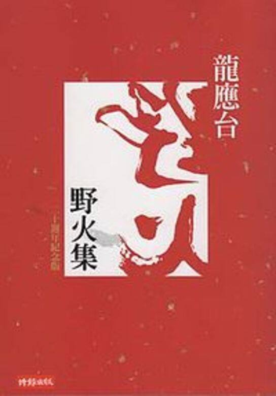自1985年以來，龍應台在台灣《中國時報》等報刊發表大量雜文，在社會上引起