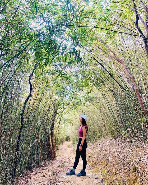 北港古道的竹林位,茂密竹林宛如走入宮崎駿的童話世界。部份路程的兩 北港古道的竹林位,茂密竹林宛如走入宮崎駿的童話世界。部份路程的兩
