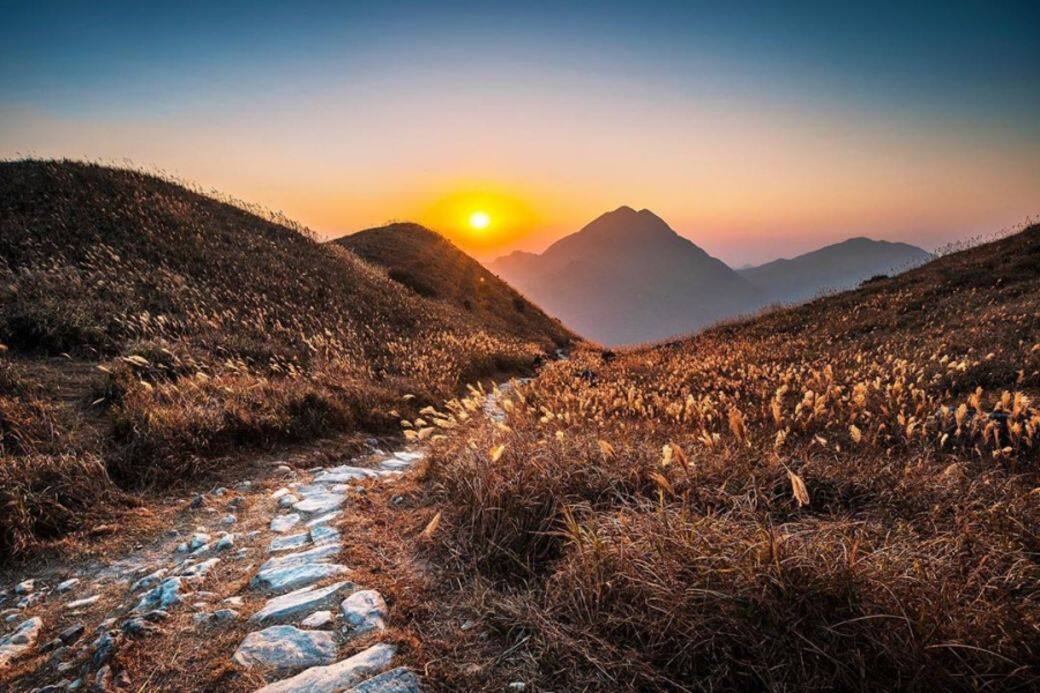 大東山 Miscanthus 芒草 秋天 香港 打卡 景點 sunset peak 大東山 Miscanthus 芒草 秋天 香港 打卡 景點 sunset peak