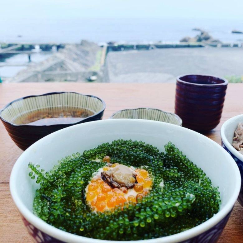 海葡萄 海葡萄