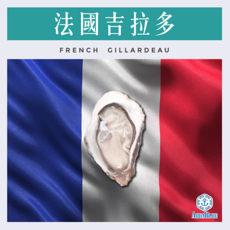 AquaBlue 外賣 生蠔 直送 網購 品種 送貨 Oyster delivery takeaway online AquaBlue 外賣 生蠔 直送 網購 品種 送貨 Oyster delivery takeaway online