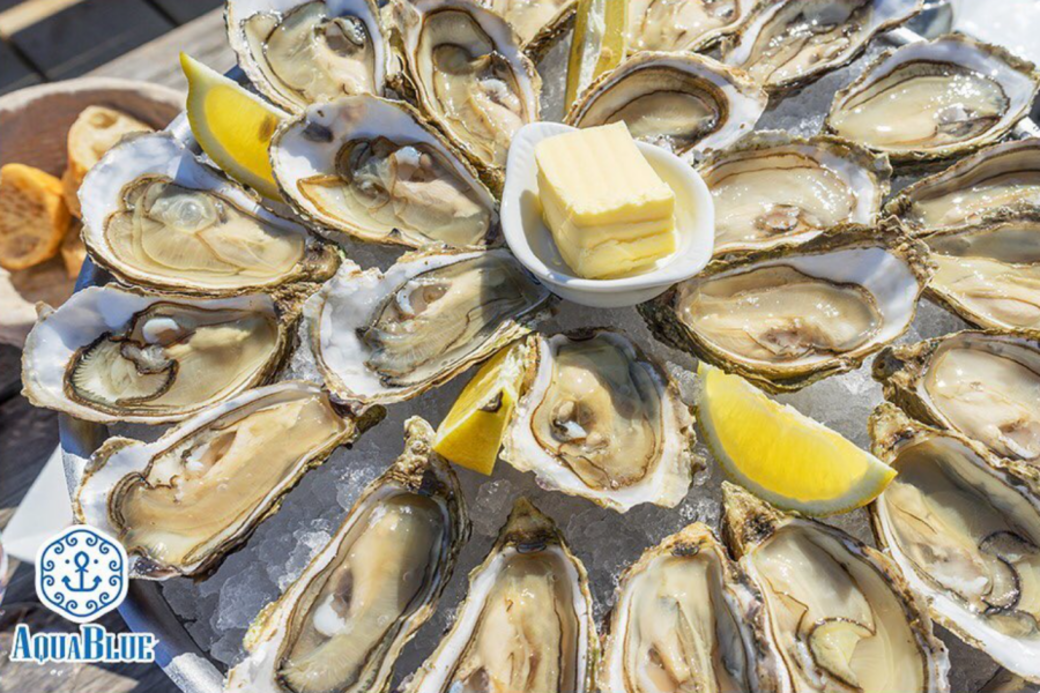 AquaBlue 外賣 生蠔 直送 網購 品種 送貨 Oyster delivery takeaway online AquaBlue 外賣 生蠔 直送 網購 品種 送貨 Oyster delivery takeaway online