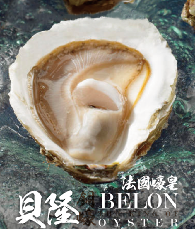 寶達 外賣 生蠔 直送 網購 品種 送貨 Oyster delivery takeaway online 寶達 外賣 生蠔 直送 網購 品種 送貨 Oyster delivery takeaway online
