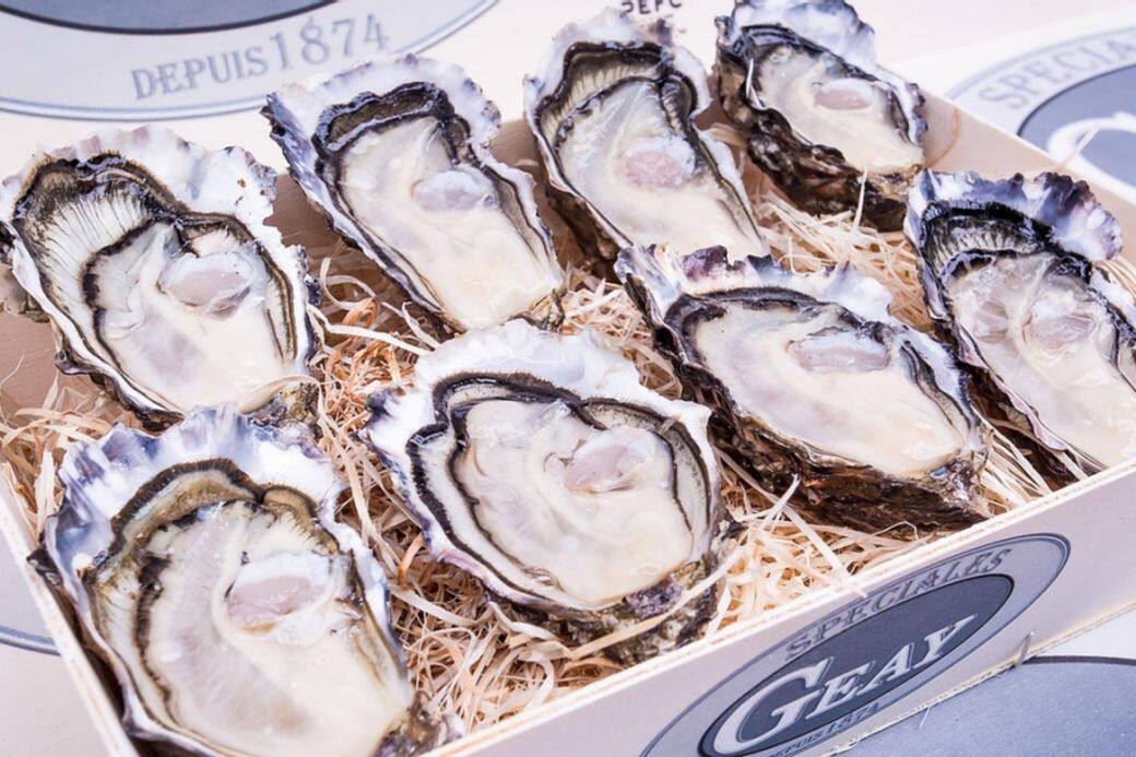 Open Meal 外賣 生蠔 直送 網購 品種 送貨 Oyster delivery takeaway online Open Meal 外賣 生蠔 直送 網購 品種 送貨 Oyster delivery takeaway online