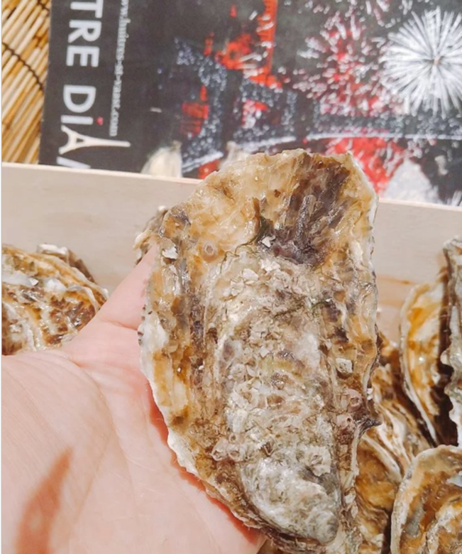Open Meal 外賣 生蠔 直送 網購 品種 送貨 Oyster delivery takeaway online Open Meal 外賣 生蠔 直送 網購 品種 送貨 Oyster delivery takeaway online