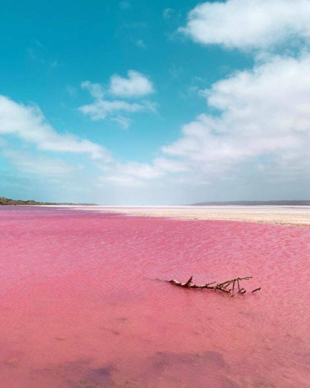 澳洲-粉紅湖 Hutt Lagoon Travel pink places 粉紅色 打卡 景點 澳洲-粉紅湖 Hutt Lagoon Travel pink places 粉紅色 打卡 景點