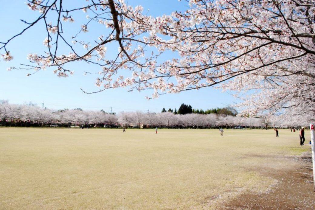 鹿兒島-忠元公園 鹿兒島-忠元公園