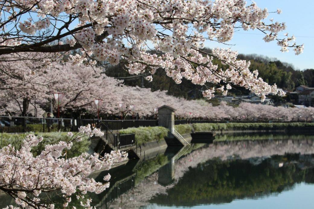 廣島-上野公園 廣島-上野公園