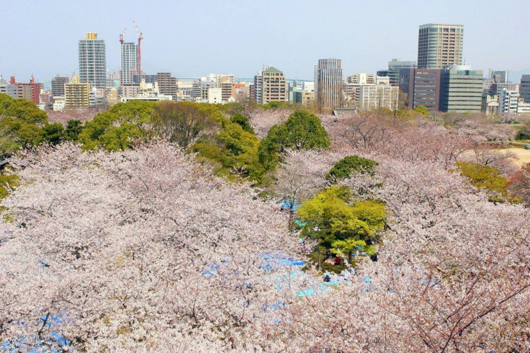 福岡-舞鶴公園 福岡-舞鶴公園