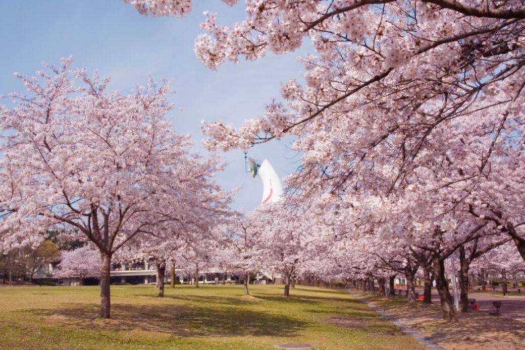 大阪-萬博紀念公園 大阪-萬博紀念公園