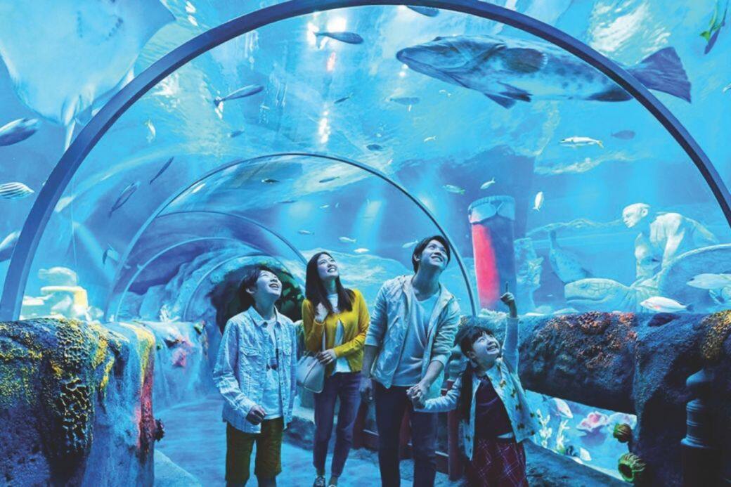親子旅行 親子旅行