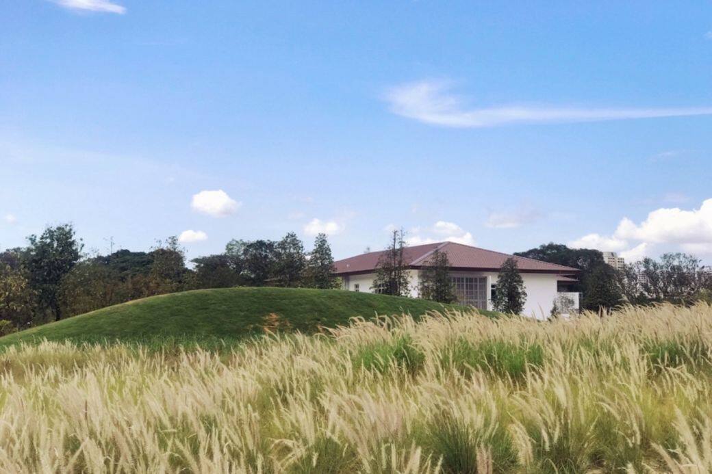此外,新加坡野生動物保育集團的四大野生動物公園,包括裕廊飛禽公園 此外,新加坡野生動物保育集團的四大野生動物公園,包括裕廊飛禽公園