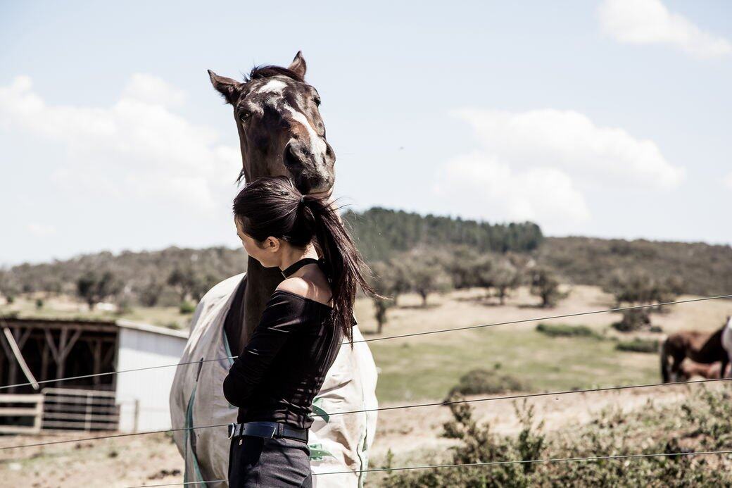 如果你們快要到 Melbourne 玩,我誠意推介Uncel Nev’s 這個 trail ride ! 如果你們快要到 Melbourne 玩,我誠意推介Uncel Nev’s 這個 trail ride !