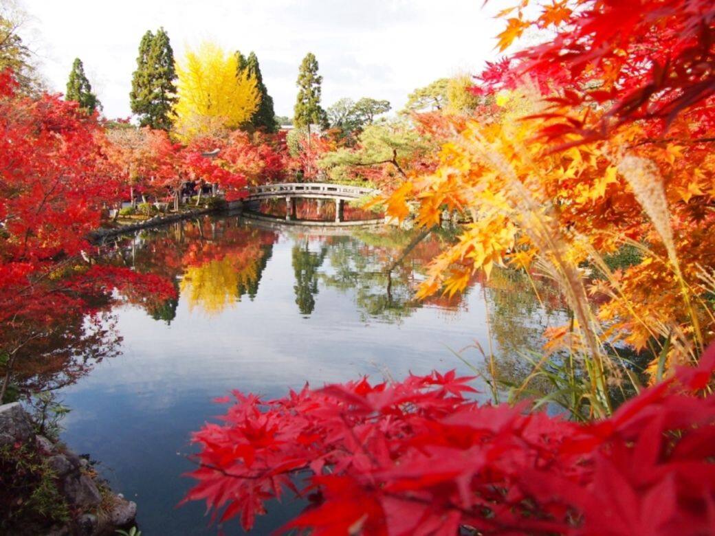 京都-永観堂 京都-永観堂
