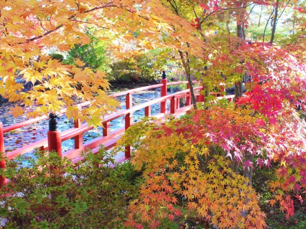 和歌山-高野山 和歌山-高野山