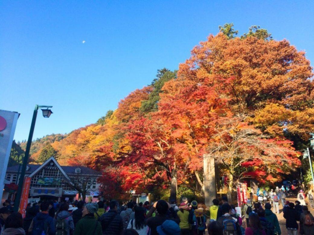 東京-高尾山 東京-高尾山