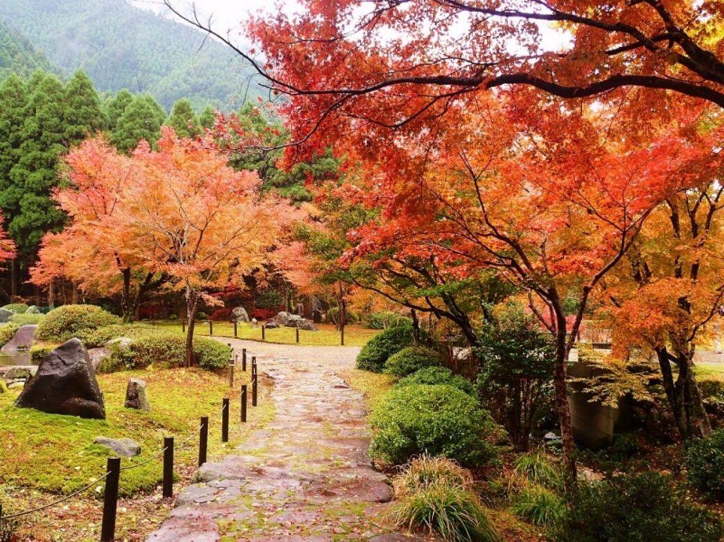 福岡-英彦山 福岡-英彦山