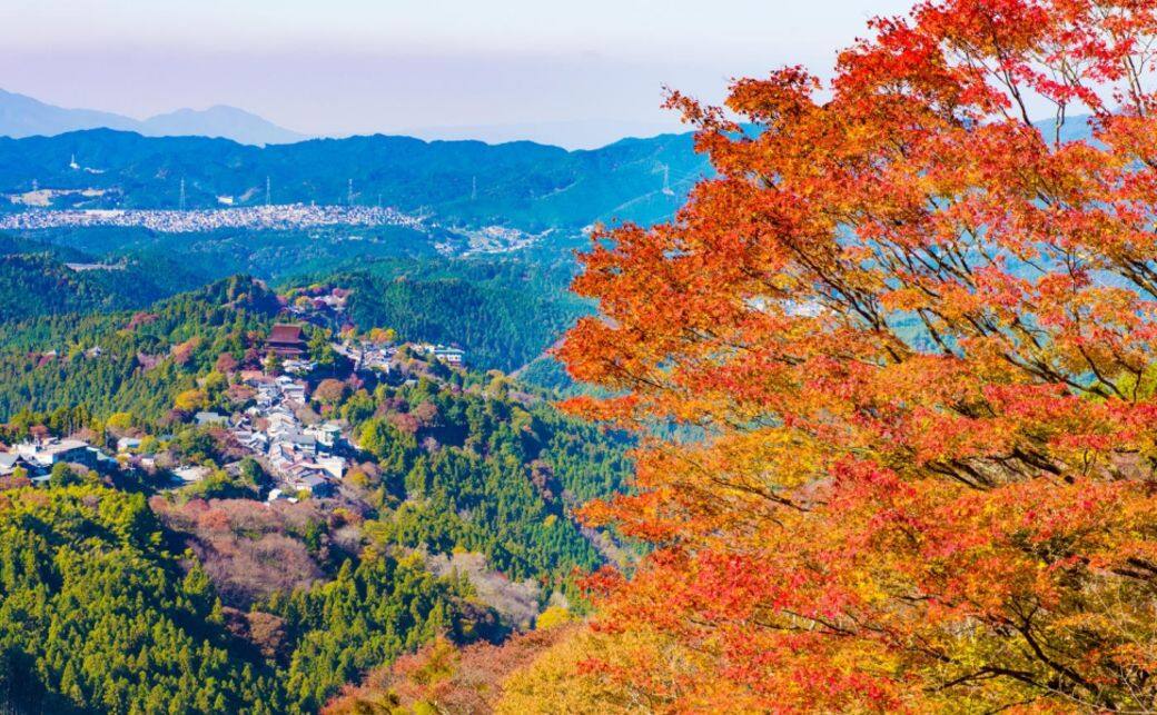 奈良-吉野山 奈良-吉野山