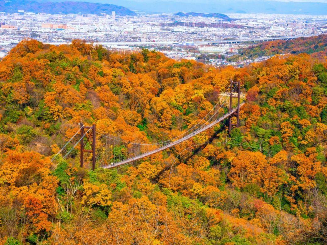 大阪-星田園地 大阪-星田園地