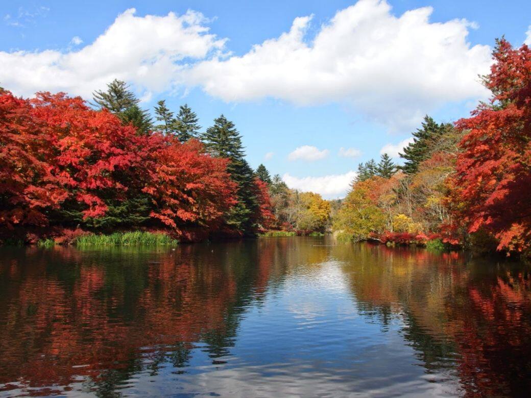 長野 -輕井澤雲場池 長野 -輕井澤雲場池