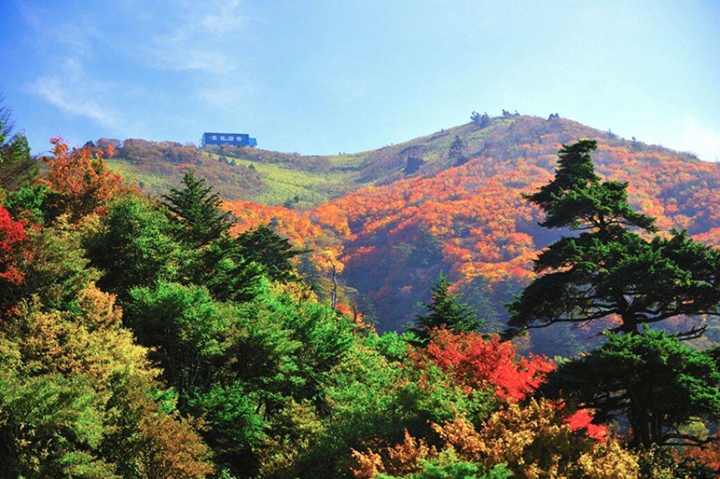 德島縣內最高的山就是劍山 德島縣內最高的山就是劍山