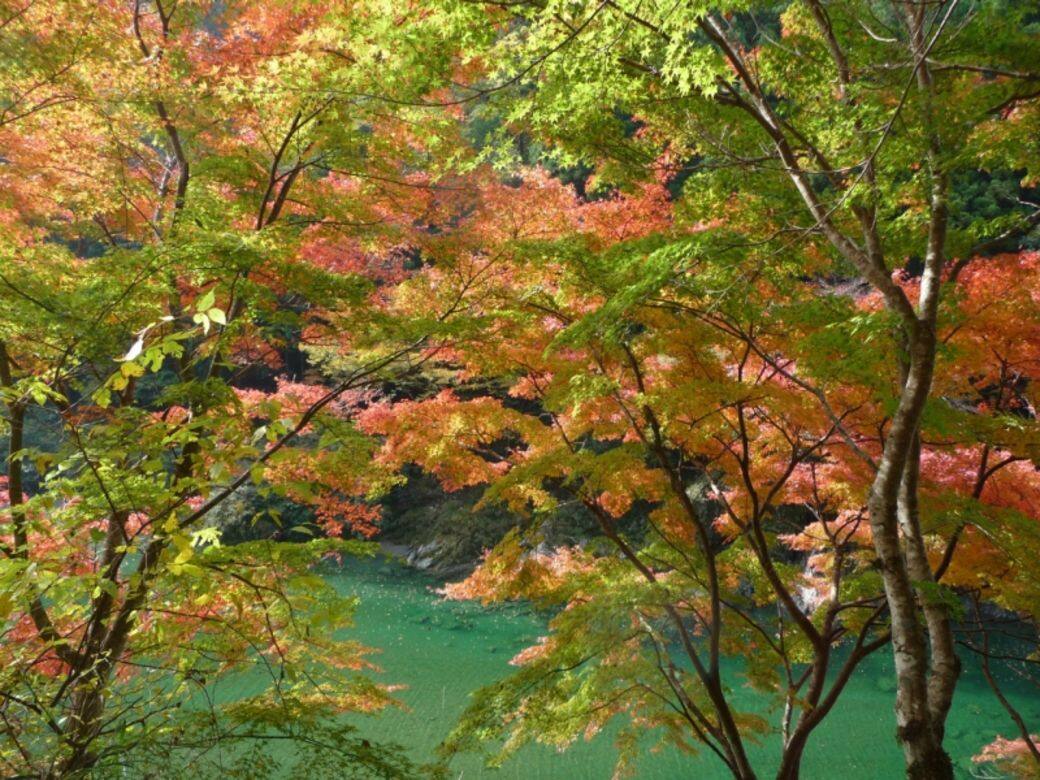 19日本四國紅葉情報 11個最有原始風味紅葉景點 Elle Hk 19日本四國紅葉情報 11個最有原始風味紅葉景點 Elle Hk