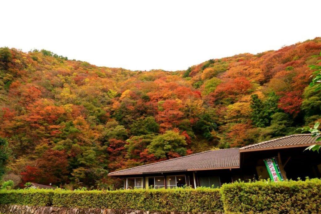 べふ峡是劍山國定公園內的溪谷 べふ峡是劍山國定公園內的溪谷