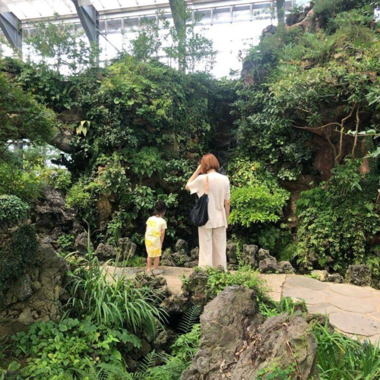 友利花植物園內有20萬株花卉和植物 友利花植物園內有20萬株花卉和植物