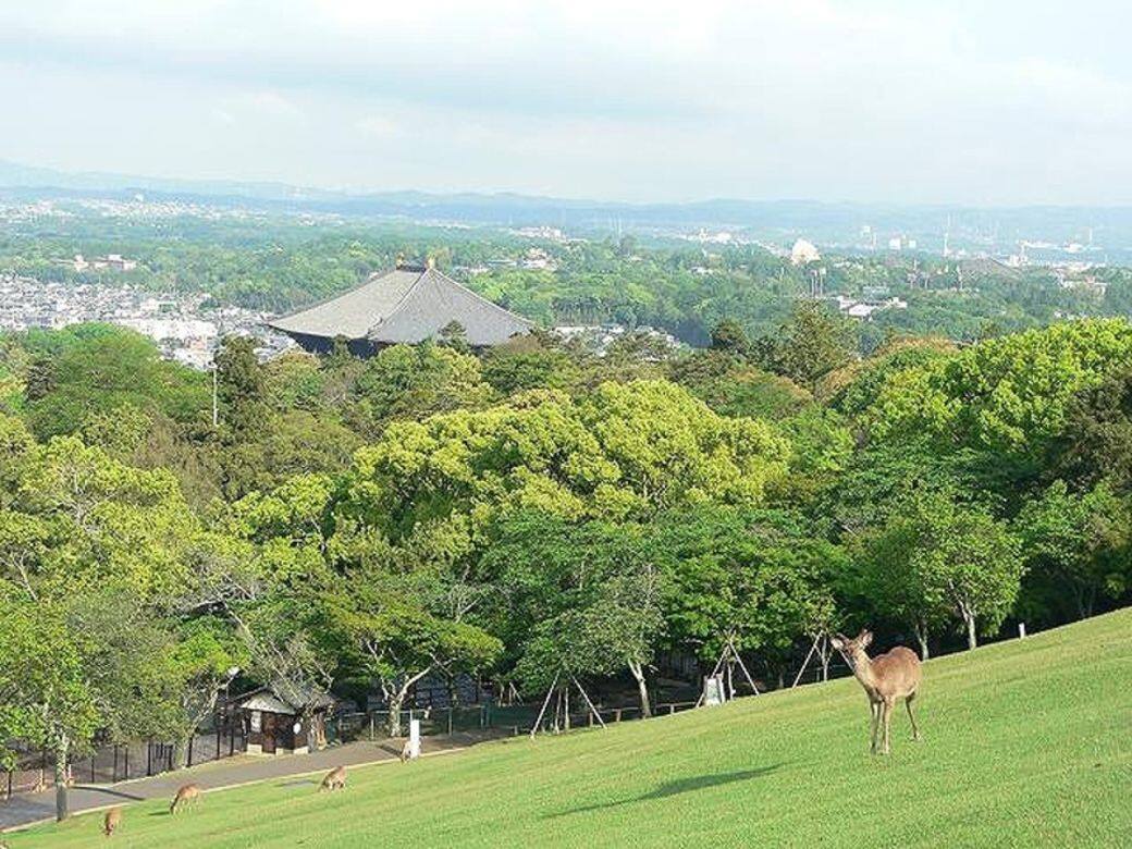若草山 若草山