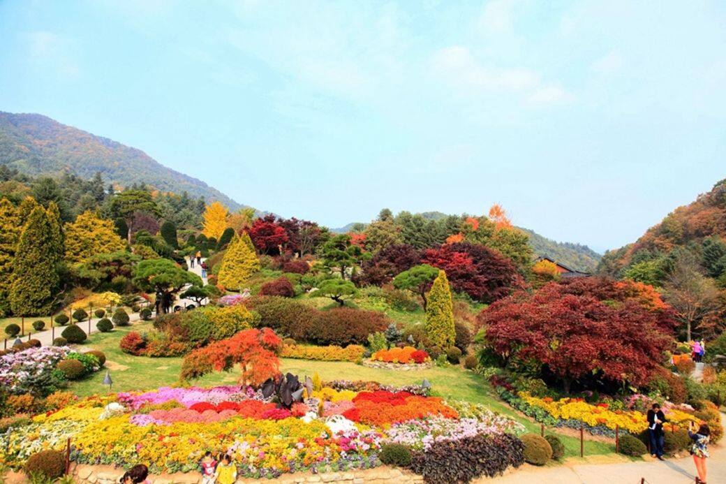 位於京畿道加平郡的晨靜樹木園 位於京畿道加平郡的晨靜樹木園