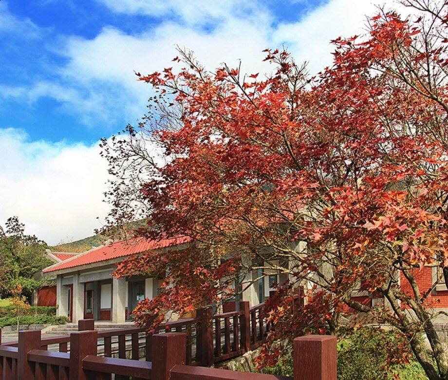 陽明山最佳賞楓點,還有前山公園國際大旅館前的楓樹 陽明山最佳賞楓點,還有前山公園國際大旅館前的楓樹