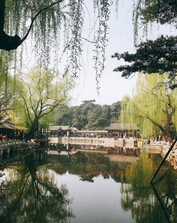 在頤和園能欣賞到經典的園林藝術,跟故宮一樣大到讓人逛不完,卻又令 在頤和園能欣賞到經典的園林藝術,跟故宮一樣大到讓人逛不完,卻又令