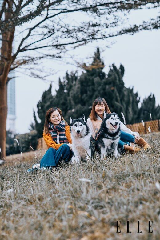 Roseann與Connie雖是同事,但以往沒有試過飛同一班機 Roseann與Connie雖是同事,但以往沒有試過飛同一班機