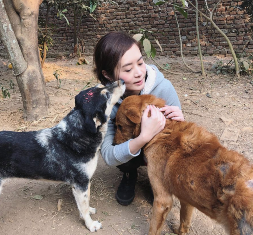 Connie早前成功為被棄養的狗仔豆豆找到新主人 Connie早前成功為被棄養的狗仔豆豆找到新主人
