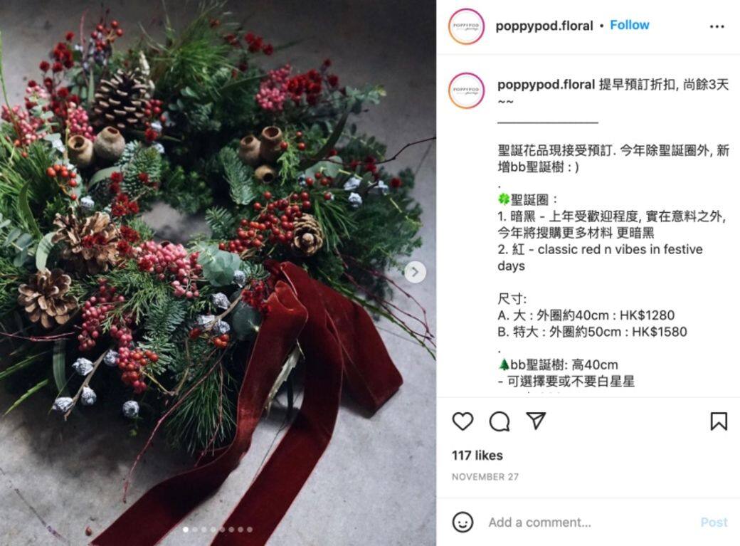 在亞熱帶地區生活的我們,或許早已把「常綠」視作理所當然,加上現在各種 在亞熱帶地區生活的我們,或許早已把「常綠」視作理所當然,加上現在各種