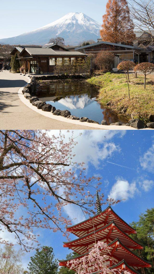 【日本富士山景點】2023富士山自由行5大景點推介！打卡必到本栖湖渡假村、大石公園香草嘉年華！