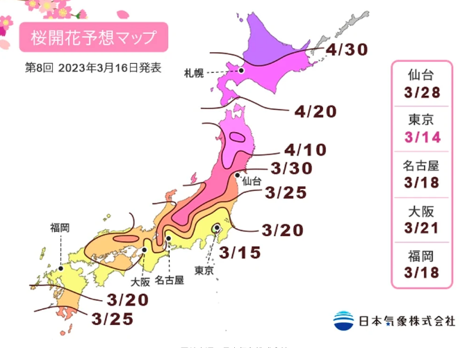 日本氣象株式會社更新了櫻花開花預測
