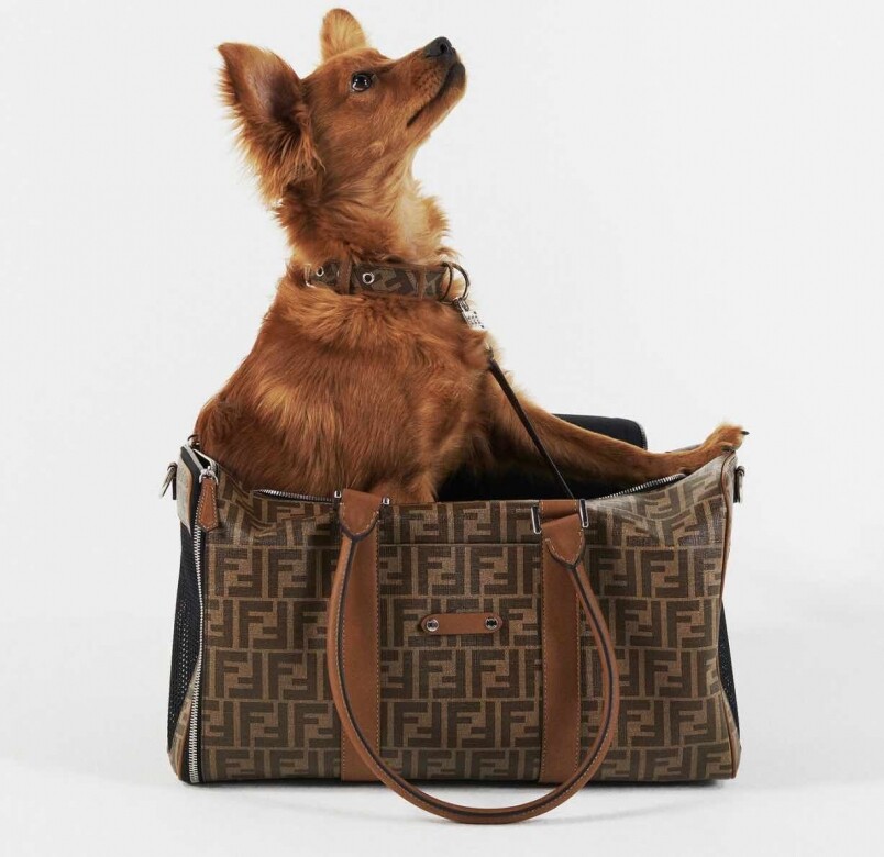 Dior送Jisoo狗狗超高價生日禮物！7個尊貴主子值得擁有的名牌寵物袋！