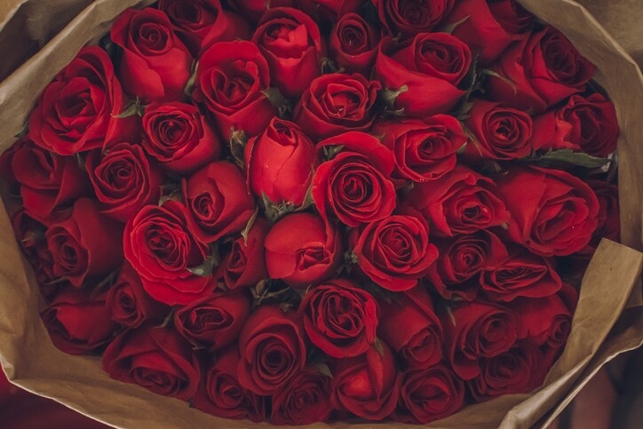 相信每個女生的櫃裡都定必有一支經典的玫瑰香水。在眾多擁有玫瑰香