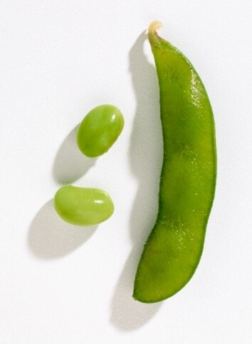 14.枝豆一枝豆雖小，但膳食纖維能有助增加飽肚感、促進腸道蠕動。當中的
